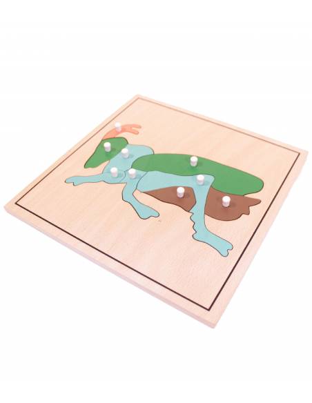 Puzzle de madera - Grillo Montessori para todos Botánica y Zoología