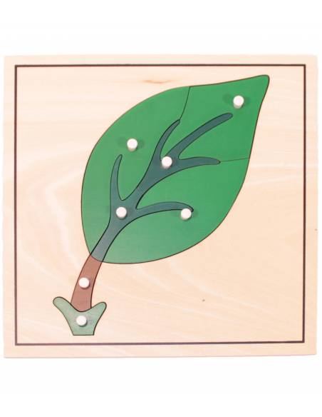 Puzzle de madera - Hoja Montessori para todos Botánica y Zoología