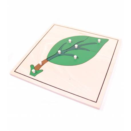 Puzzle de madera - Hoja Montessori para todos Botánica y Zoología