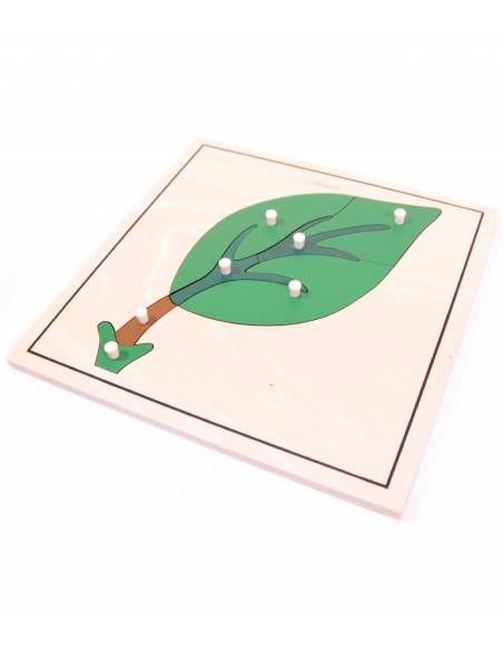 Puzzle de madera - Hoja Montessori para todos Botánica y Zoología