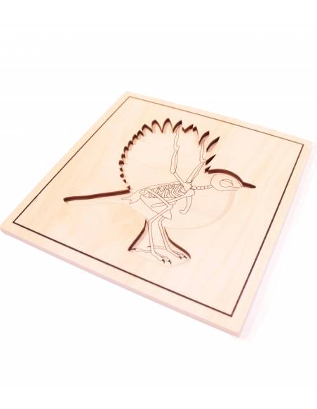 Puzzle Pájaro (con esqueleto) Montessori para todos Botánica y Zoología