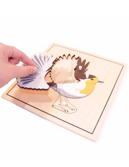 Puzzle Pájaro (con esqueleto) Montessori para todos Botánica y Zoología
