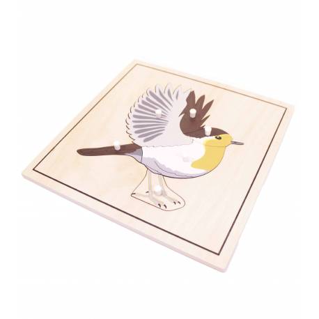 Puzzle Pájaro (con esqueleto) Montessori para todos Botánica y Zoología