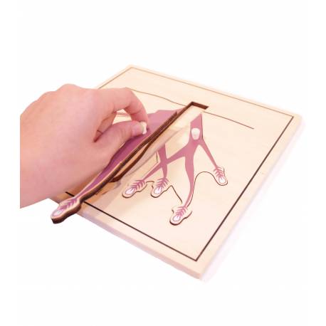 Puzzle de madera - Raíces Montessori para todos Botánica y Zoología 2