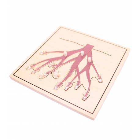 Puzzle de madera - Raíces Montessori para todos Botánica y Zoología