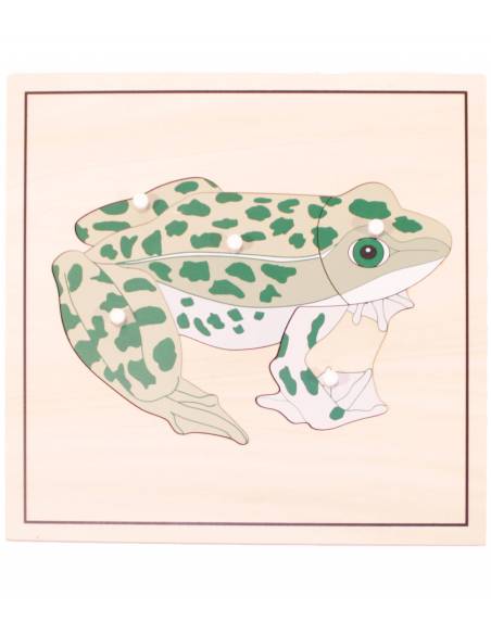 Puzzle de madera - Rana