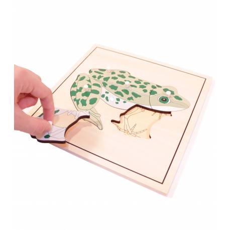 Puzzle de madera - Rana