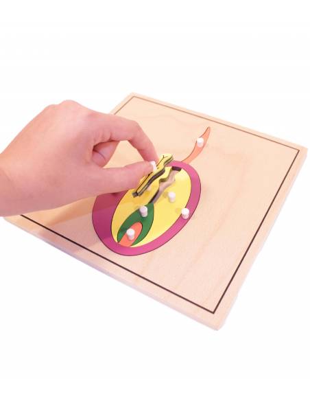 Puzzle semilla Puzzle semilla