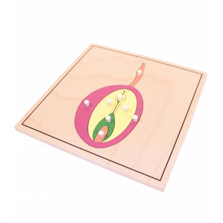 Puzzle de madera - Semilla Montessori para todos Botánica y Zoología