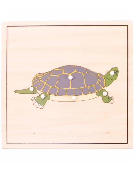 Puzzle Tortuga (con esqueleto) Montessori para todos Botánica y Zoología