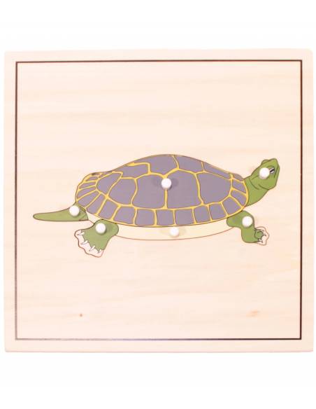 Puzzle de madera - Tortuga