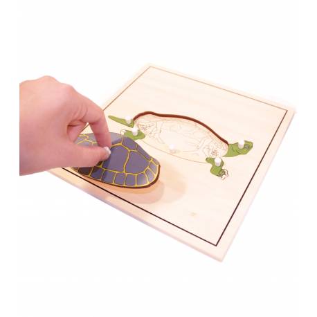 Puzzle de madera - Tortuga
