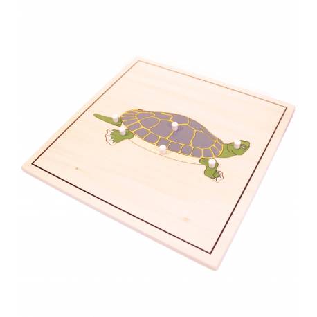 Puzzle Tortuga (con esqueleto) Montessori para todos Botánica y Zoología