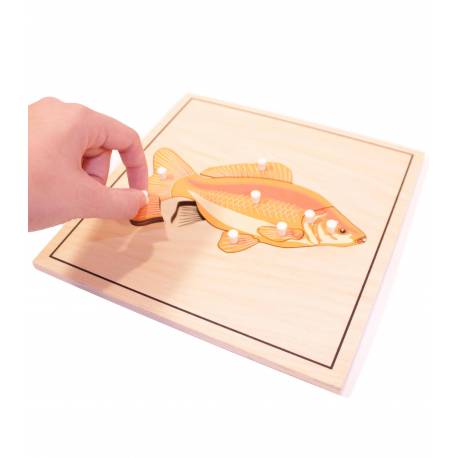 Puzzle Pez (con esqueleto) Montessori para todos Botánica y Zoología