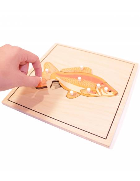 Puzzle de madera - Pez