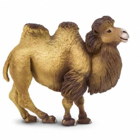 Camello bactriano  Animales Grandes