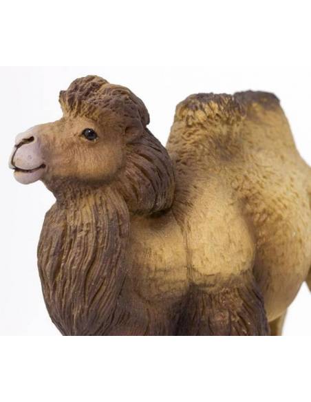 Camello bactriano  Animales Grandes