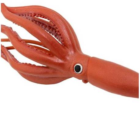 Calamar  Animales Grandes