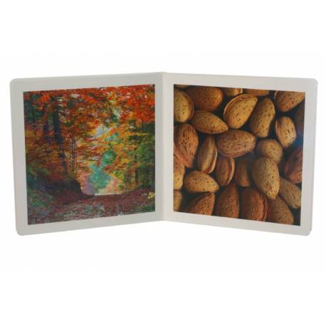 Cuento Imágenes reales - Otoño Nowordbooks Nowordbooks 2