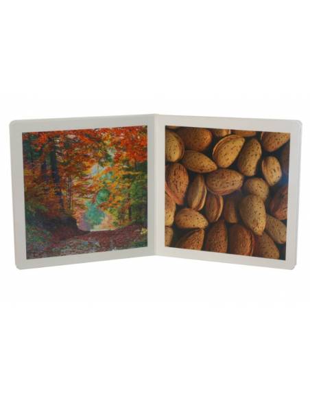 Cuento Imágenes Otoño cartón