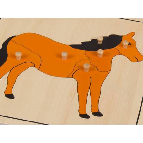 Pack 5 puzzles animales* 2