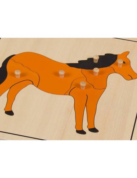 Pack 5 puzzles animales*