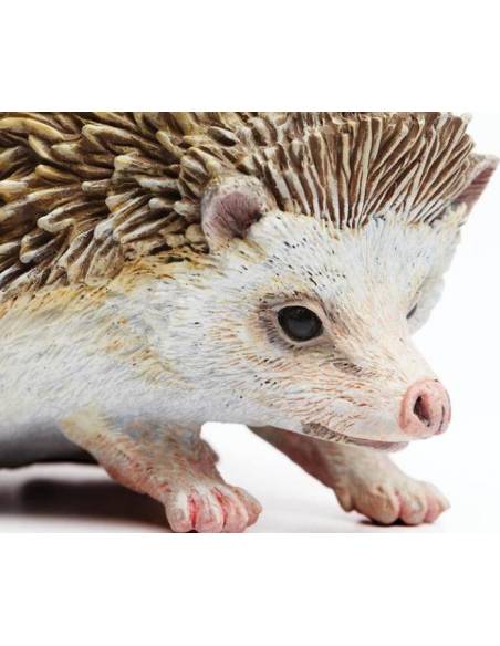 Erizo  Animales Grandes
