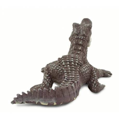 Caimán  Animales Grandes