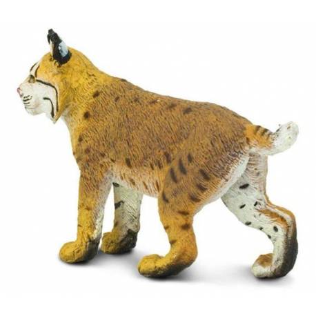 Lince  Animales Grandes