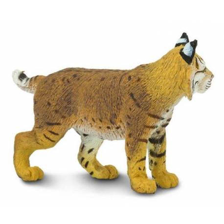 Lince  Animales Grandes