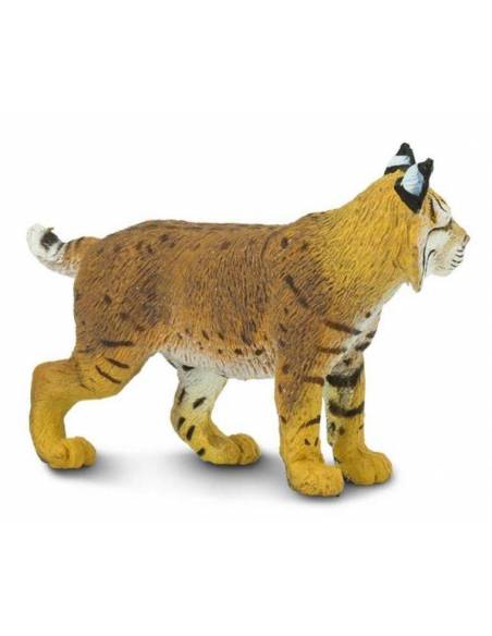 Lince  Animales Grandes Lince  Animales Grandes