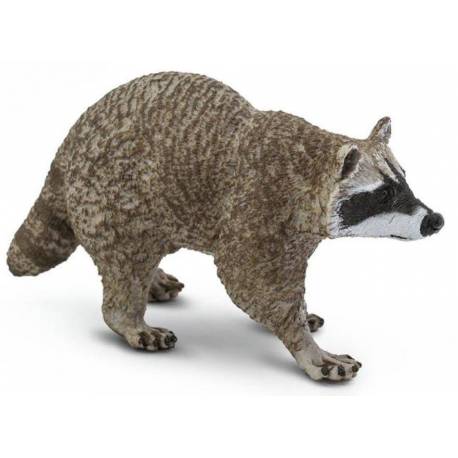 Mapache  Animales Grandes