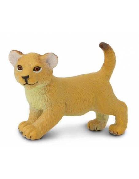Cría de león  Animales Grandes
