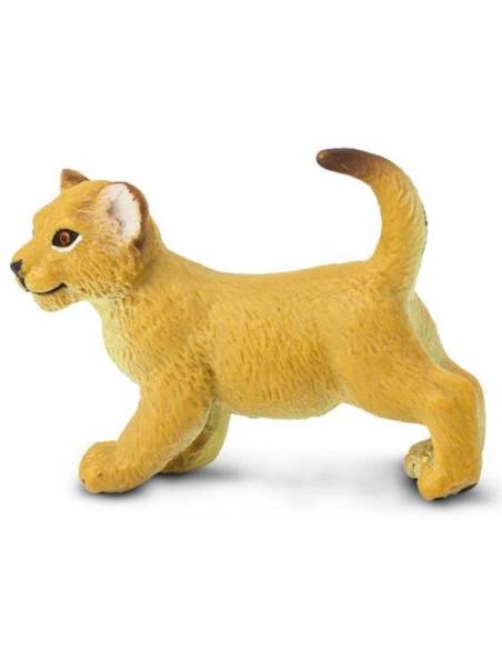 Cría de león  Animales Grandes