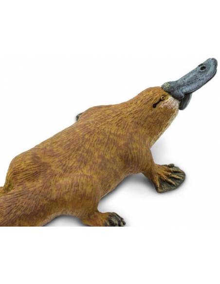 Afrikanisches Elefantenbaby trotend