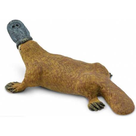 Afrikanisches Elefantenbaby trotend