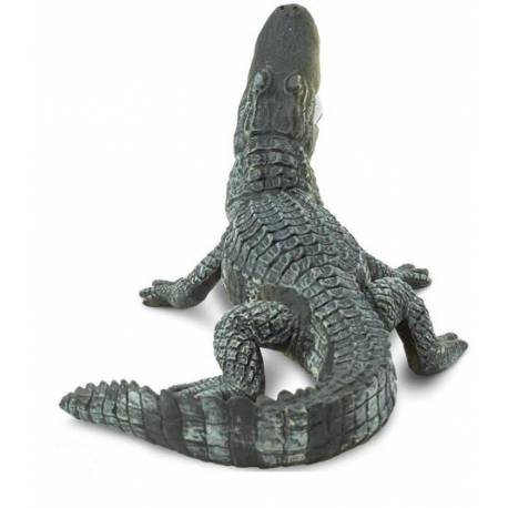 Cocodrilo  Animales Grandes