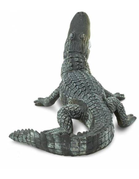 Cocodrilo  Animales Grandes