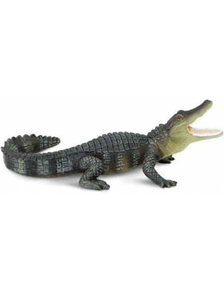 Cocodrilo  Animales Grandes