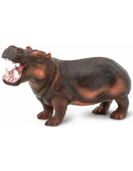 Hipopótamo  Animales Grandes