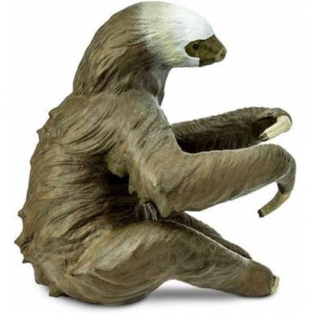 Perezoso  Animales Grandes