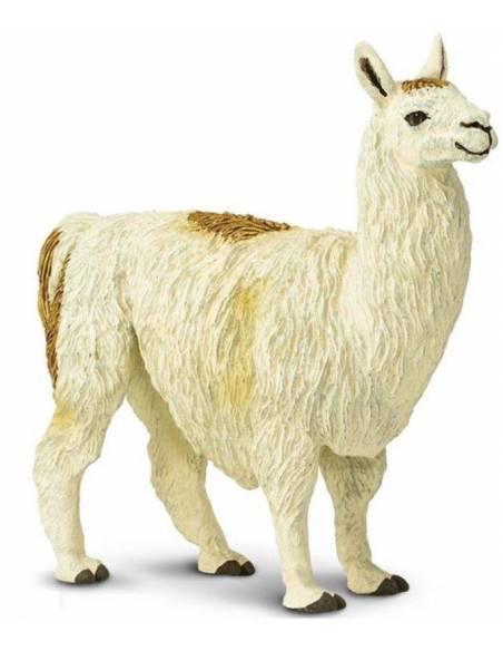 Llama  Animales Grandes
