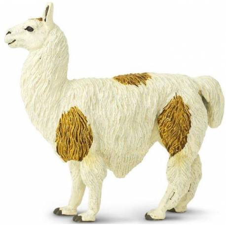 Llama  Animales Grandes