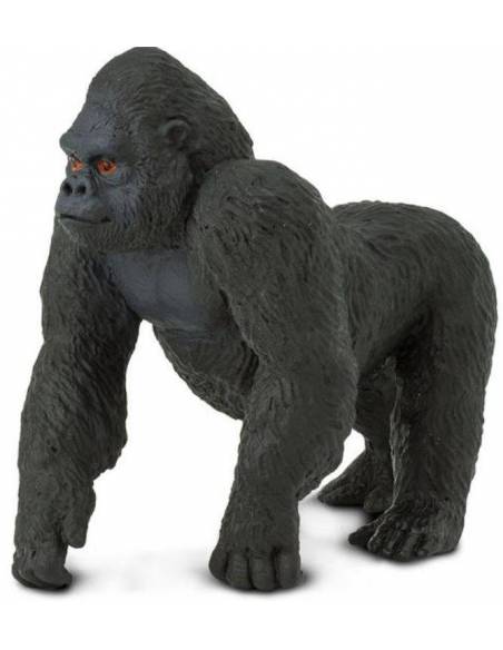 Gorila Macho  Animales Grandes