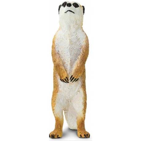 Suricata  Animales Grandes