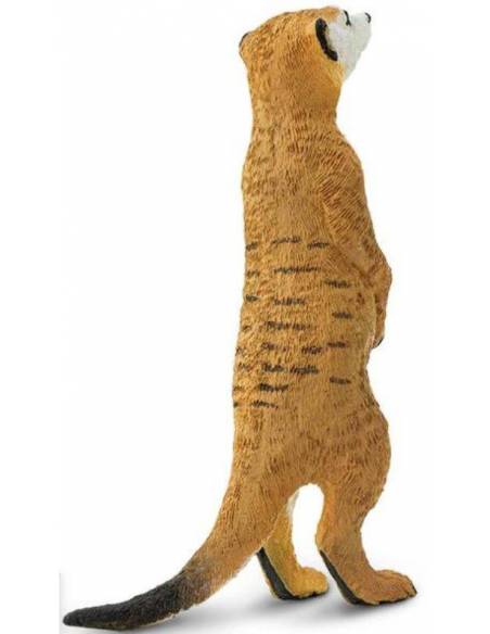 Suricata  Animales Grandes