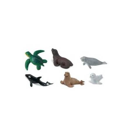 Crías animales marinos  Toobs Animales