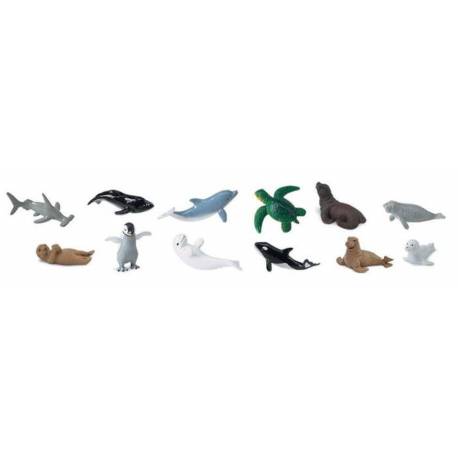 Crías animales marinos  Toobs Animales