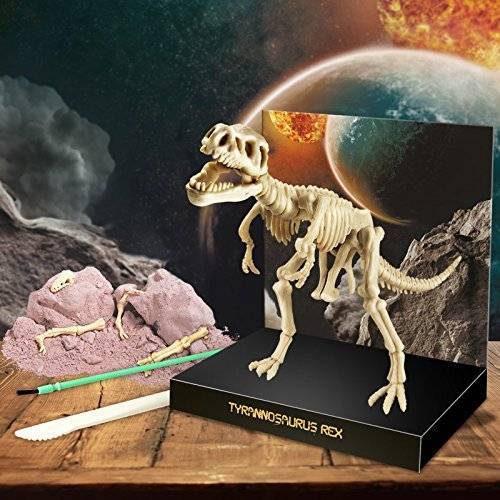 Excavación esqueleto de Tyrannosaurus Rex / Velociraptor 4M Ciencia y medio ambiente