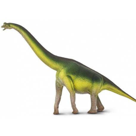 Tyrannosaurus Rex